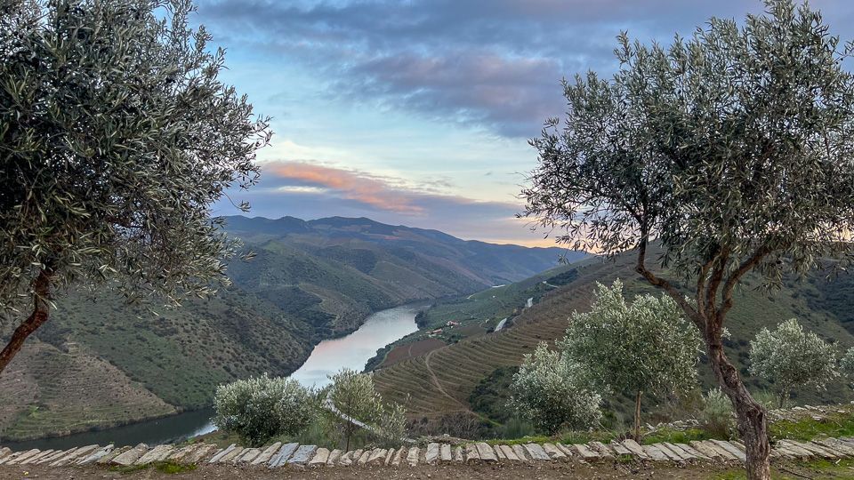 Relax on a Douro #RiverCruise: Visiting Portugal with <a href="/VikingCruises/">Viking</a> let's you discover Portugal's mountainous interior; one of the world's first wine appellation regions; prehistoric art museum; historic towns; fantastic river scenery. #portugal buff.ly/49gGAhL