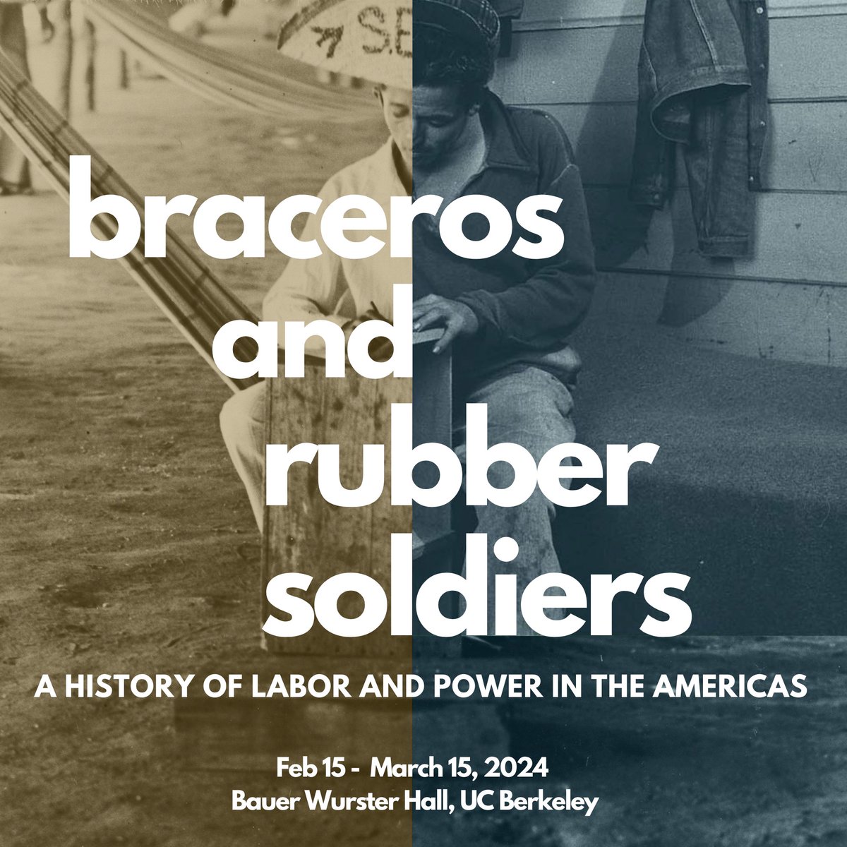 Laura Belik tweet media