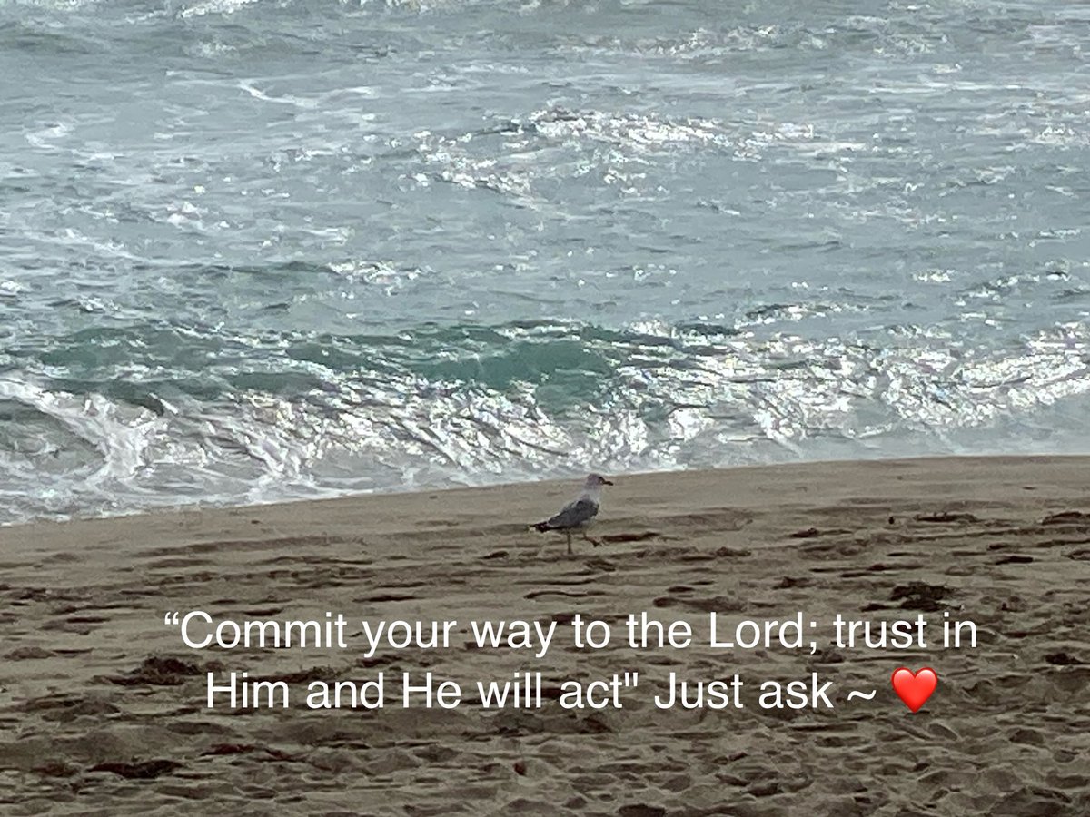 Jane_Swanko's tweet photo. #sunrise #wakeup #glory #heisholy #waymaker #heislord #creator #breadoflife #SonofGod
#hope #peace #love #followMe #amen #lightoftheworld #lambofgod #justask #iam #wonderful #counselor #healer #blessed #Holyone #deliverer #rock #mightyone #mightyGod #princeofpeace #alpha #omega https://t.co/N4eAkcpklg