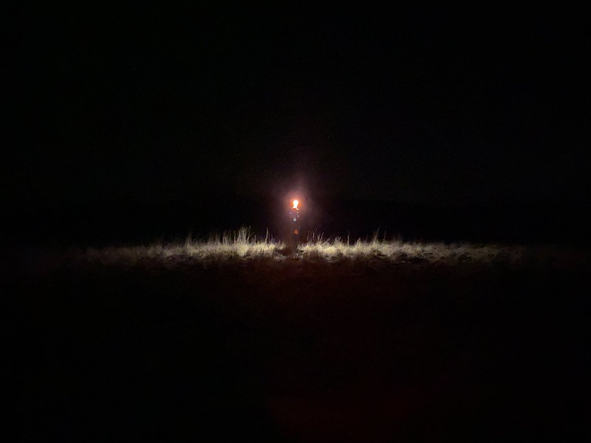 pondaroski's tweet photo. 20240214 11:51pm 15°F Wind Chill Out There Self-Portrait With A Flashlight In A Random Rural Landscape Being Mindful, Trumansburg, NY. Z.
#selfportrait
#flashlight
#radiantlight
#accentlight
#artishard
#lifeishard
#randomrurallandscape
#orangehat
#pondaroski
#JoeZiolkowski https://t.co/z65YtNJsnd