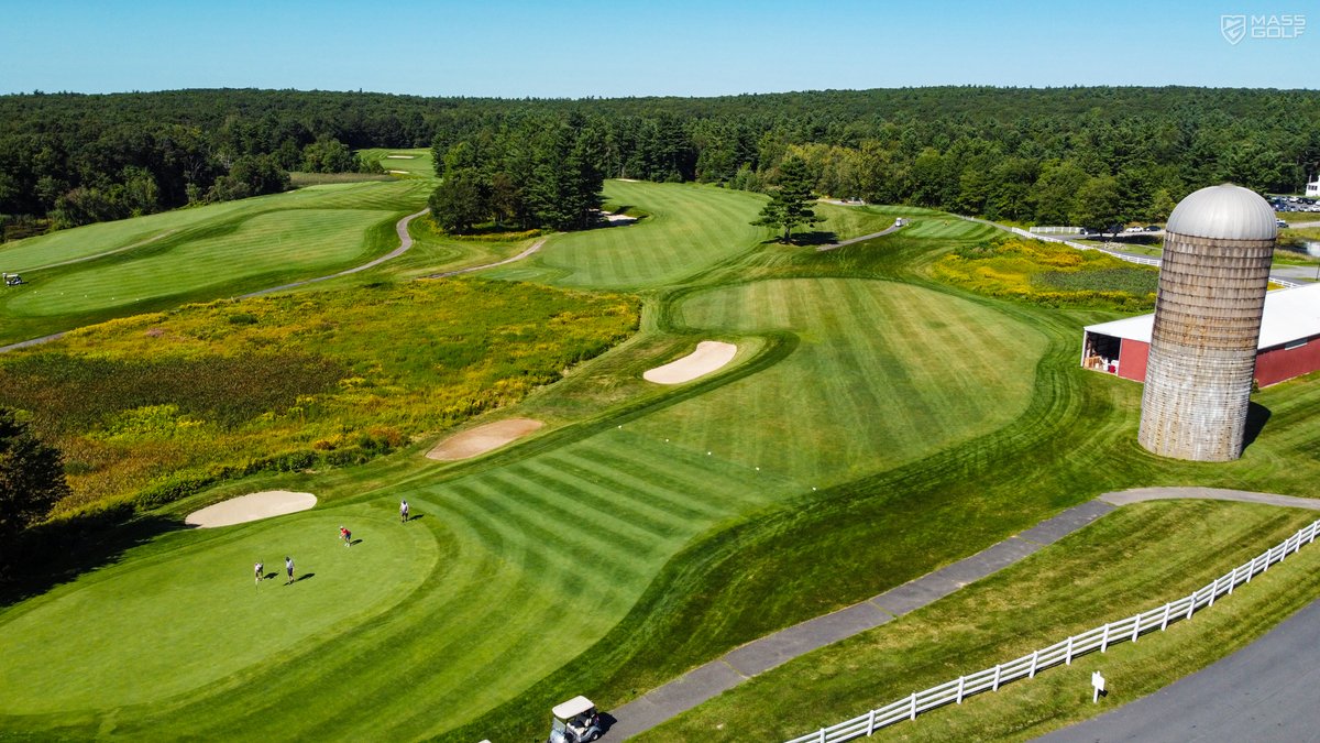 Mass Golf tweet media