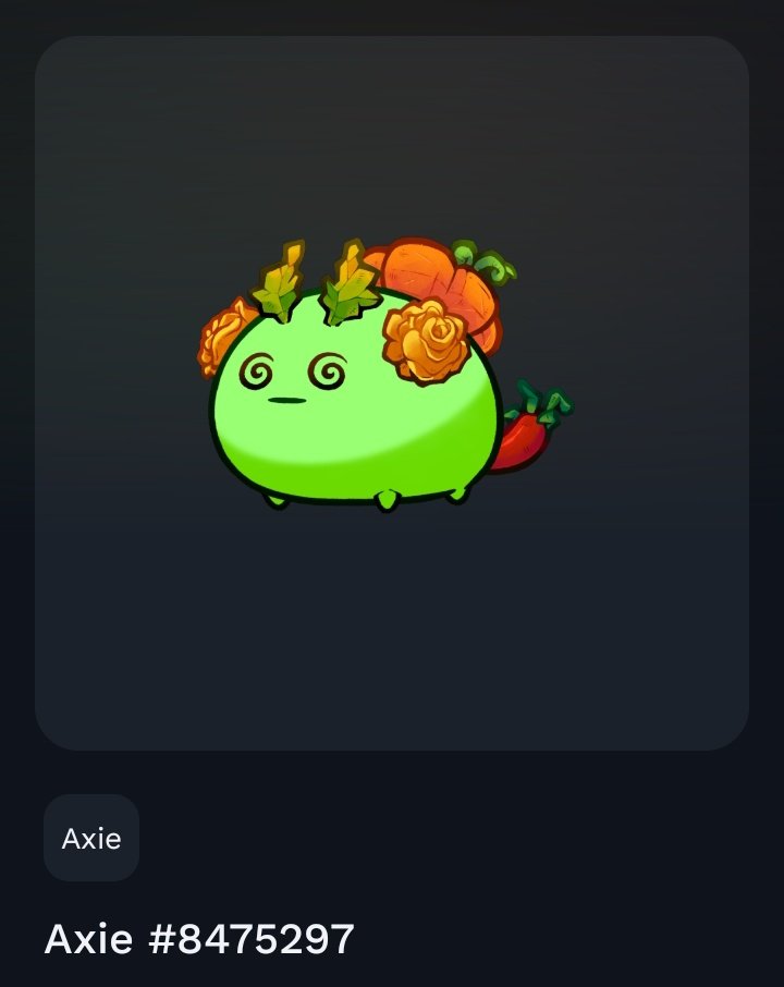 papsdhicoy1982's tweet photo. Thank you sir @1_ogic and @RoninRealms
This is my first giveaway axie I received of 2024,,..
Follow nio lng cla pra makatanggap din giveaway sa mga susunod na event..
#GASquad @AxieInfinity https://t.co/N9jTaDVcXF
