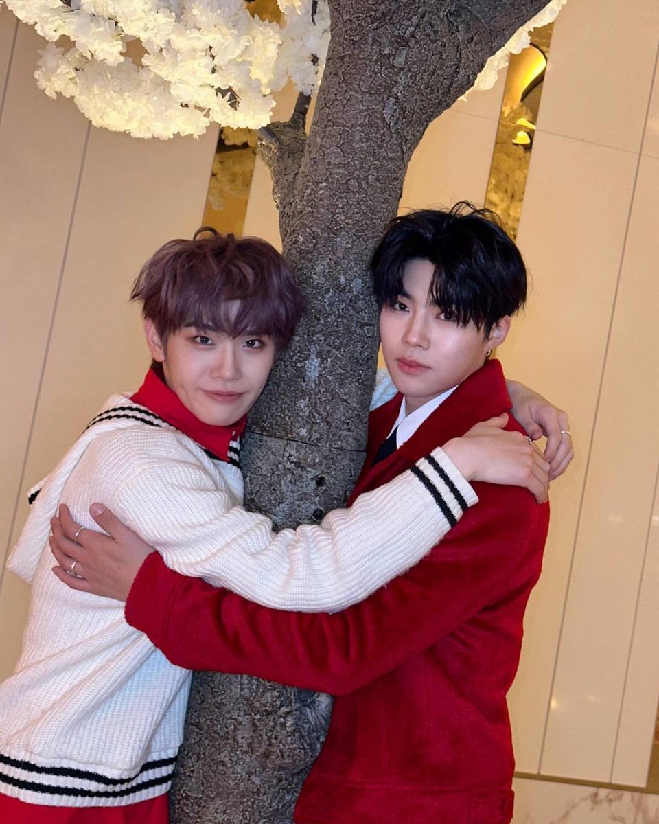 gunqwook's tweet photo. 🫶 https://t.co/RyHj0OJIp0
