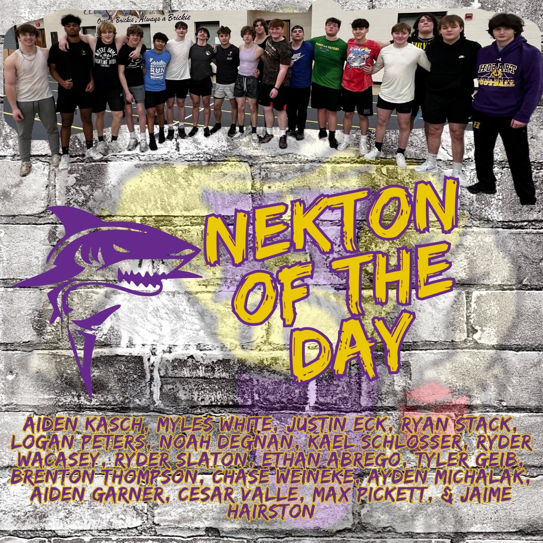 Our Nekton’s of the Day!

#workworkwork 🧱