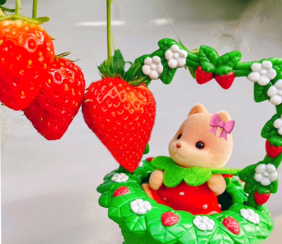 4Kyuben's tweet photo. 美味しかったね🍓🎀🤍
#シルバニア
#シルバニアファミリー https://t.co/GhLv1SMQDQ