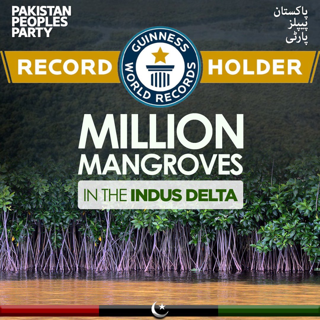 The People's Choice Pakistan People's Party, which established a world record of planting millions of mangroves to save marine life and protect citizens from dangerous situations like floods.

 @BBhuttoZardari @BakhtawarBZ @AseefaBZ #TeerChalGaya #SindhGovt #WafaAsad786