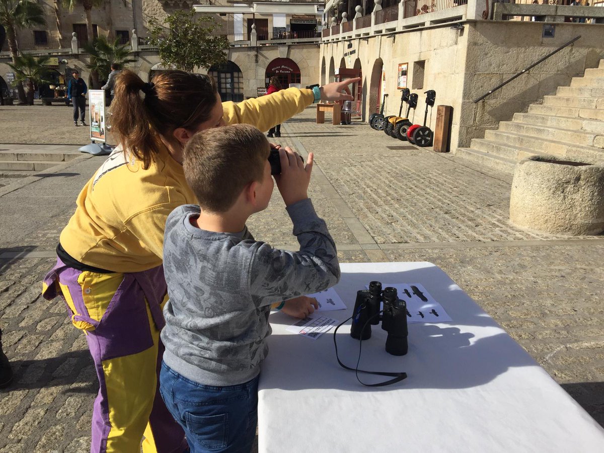 BIRDING IN EXTREMADURA tweet media
