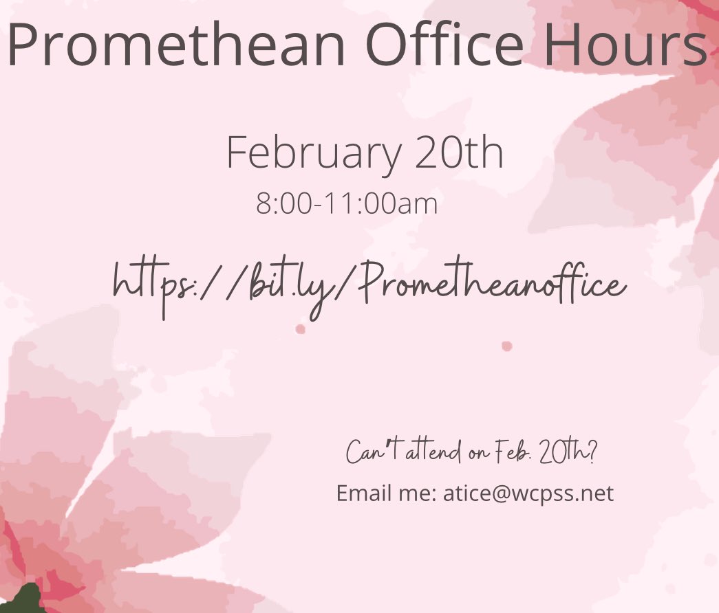 Amy Tice tweet media