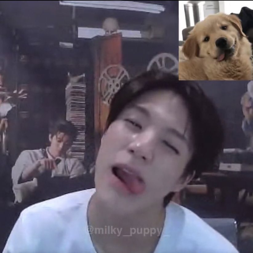 เลียนแบบรูปม๋าไปวันๆ