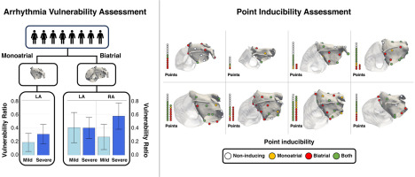 New paper!

Exciting research led by <a href="/patymardi/">Patricia Martínez Díaz</a>  sheds light on the overlooked role of the right atrium (RA) in atrial fibrillation (AF). 

By incorporating RA in computational studies, we enhance our understanding of AF mechanisms. ⬇️

#Cardiology #AFib #PersonalizeAF