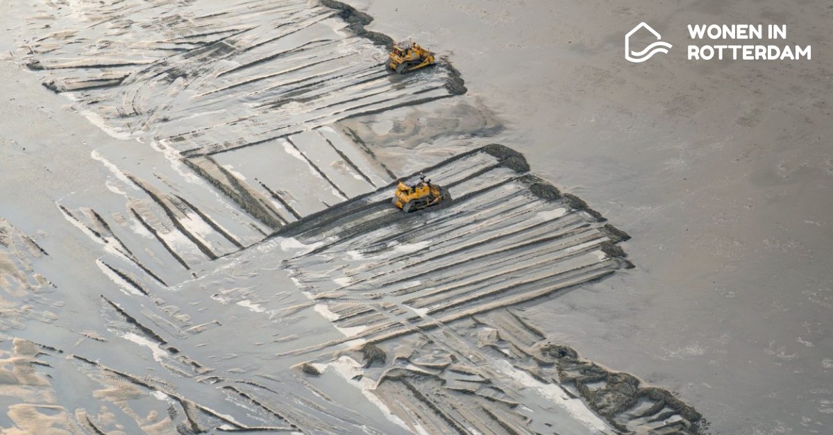 De demping van de Rijnhaven bereikte een mijlpaal: 1.000.000 m3 zand aangebracht! En dit is pas het begin. Volg voor updates: rotterdam.nl/rijnhaven🏖️🌳 #Gebiedsontwikkeling #Rotterdam