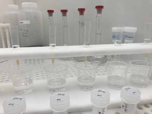 We've been busy in @UCLarchaeology and @ES_UCL setting up Zinc #Isotope analysis of archaeological bones, teeth and plants. Results coming off the MC-ICP-MS later this week. Great to collaborate with @suselittle , @Klervia_Jaouen and @ying_geo on this pilot project