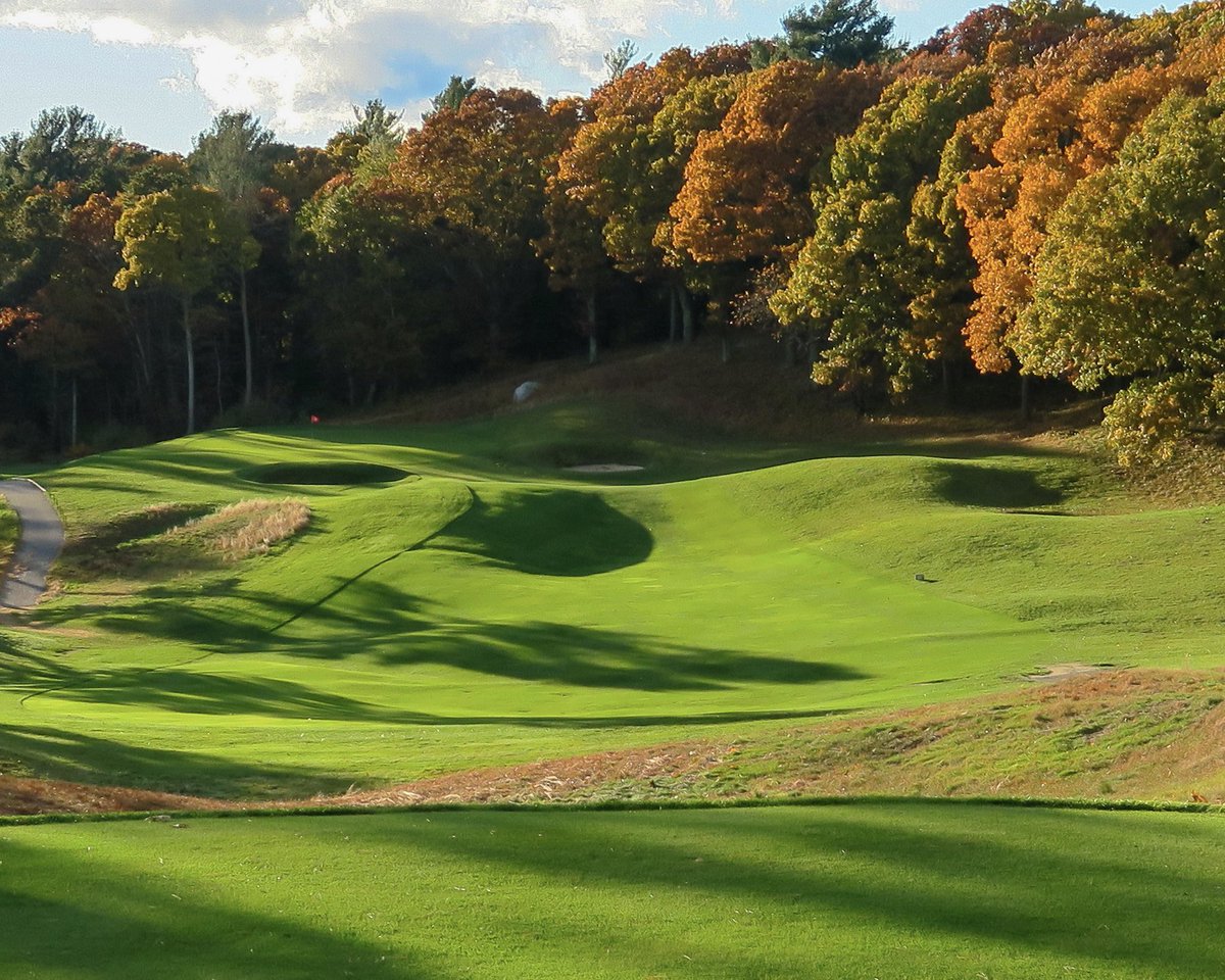 Jed Moller tweet media