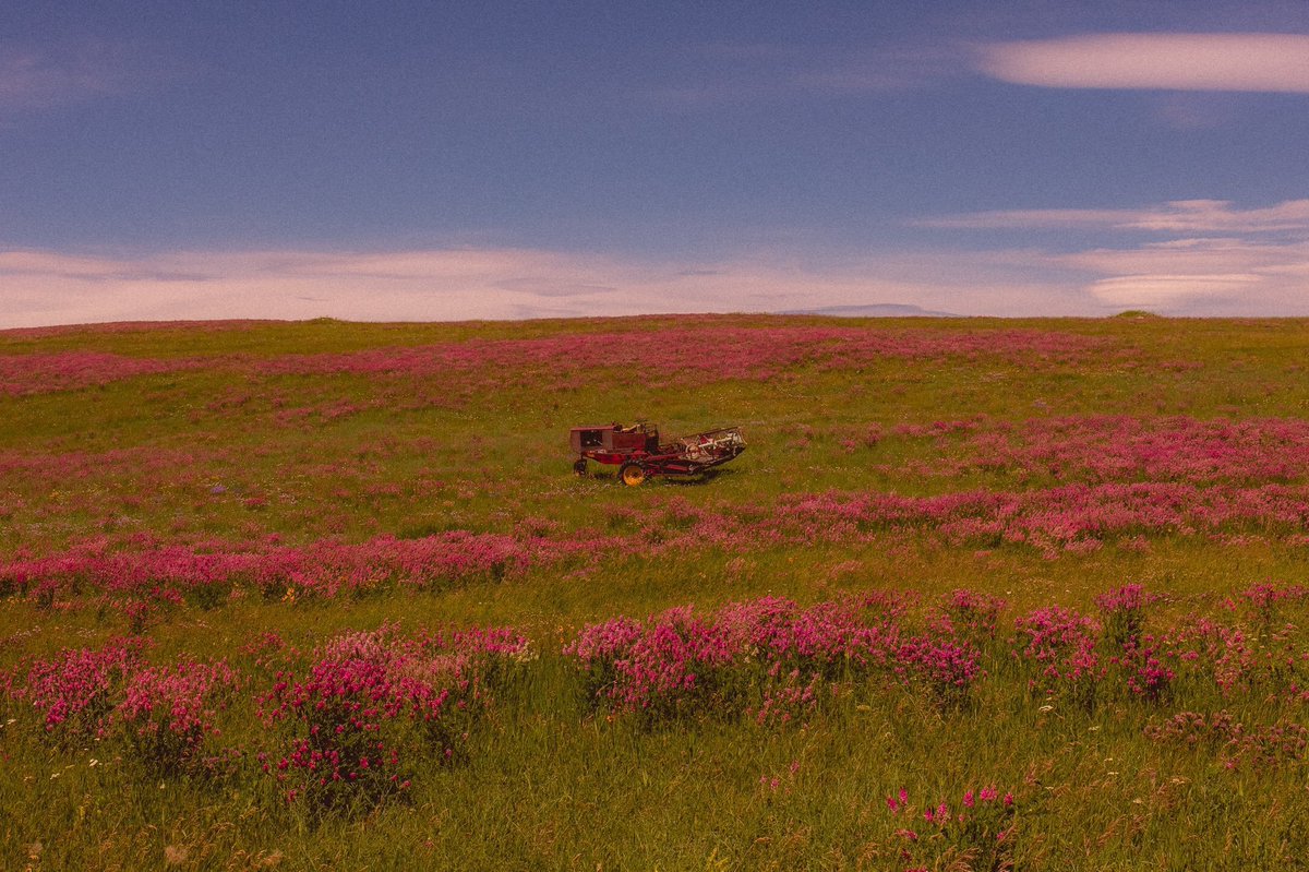 FedeItaliano76's tweet image. Here are some images of planet Earth captured by Space Cowboy (also known as Breezeh or Briscoe Park)