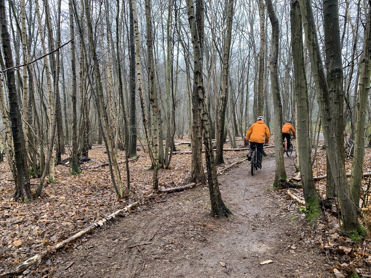 cycle_wise's tweet image. #techadvice season. All the way down south ⁦@RockUKAdventure⁩  at Carroty wood in Kent. Brilliant 2 days training the awesome staff to L1 MTB leadership. It’s true what they say about the south. A barmy 17c here today. #scorchio #mtbleadership #cyclewise #bikes