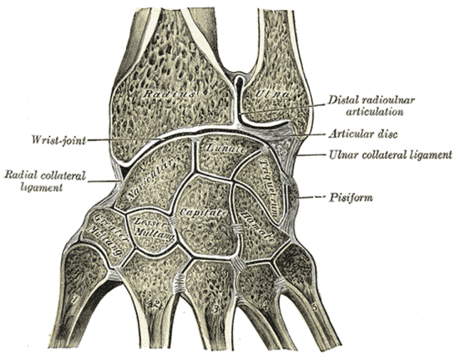 HealthinnTech's tweet photo. 🖐️​ReHand en Fracturas de radio distal💥

Las FRD suponen el 25% de todas las #fracturas ​📈que acuden a Urgencias, lo que la hace una de las lesiones traumáticas con mayor incidencia.

🔍Son necesarias estrategias que permitan abordar la #rehabilitación de esta lesión https://t.co/EjKh9qGThL