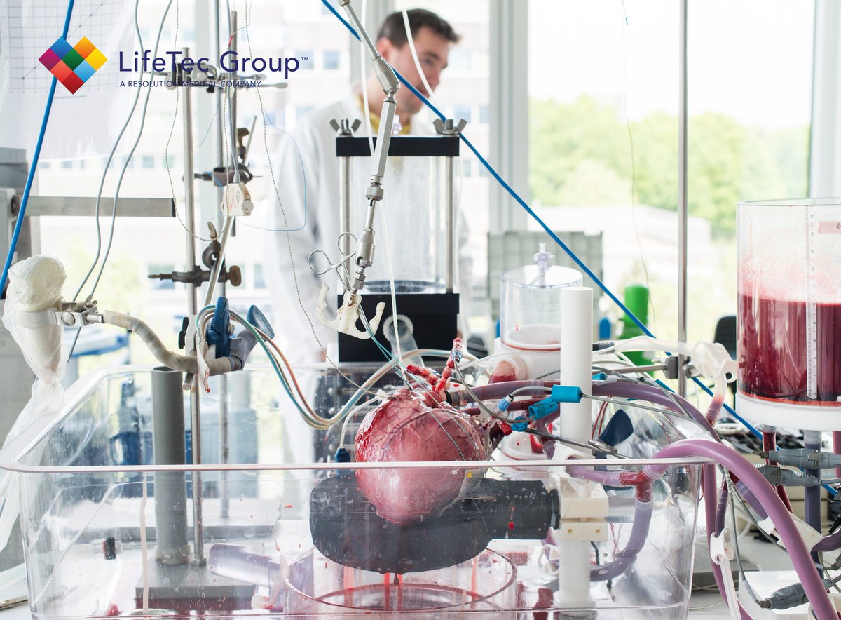 We are proud to share that PhysioHeart contributed to another publication within the scope of the RegMedXD project. Read more about it: lifetecgroup.com/portfolio/publ…