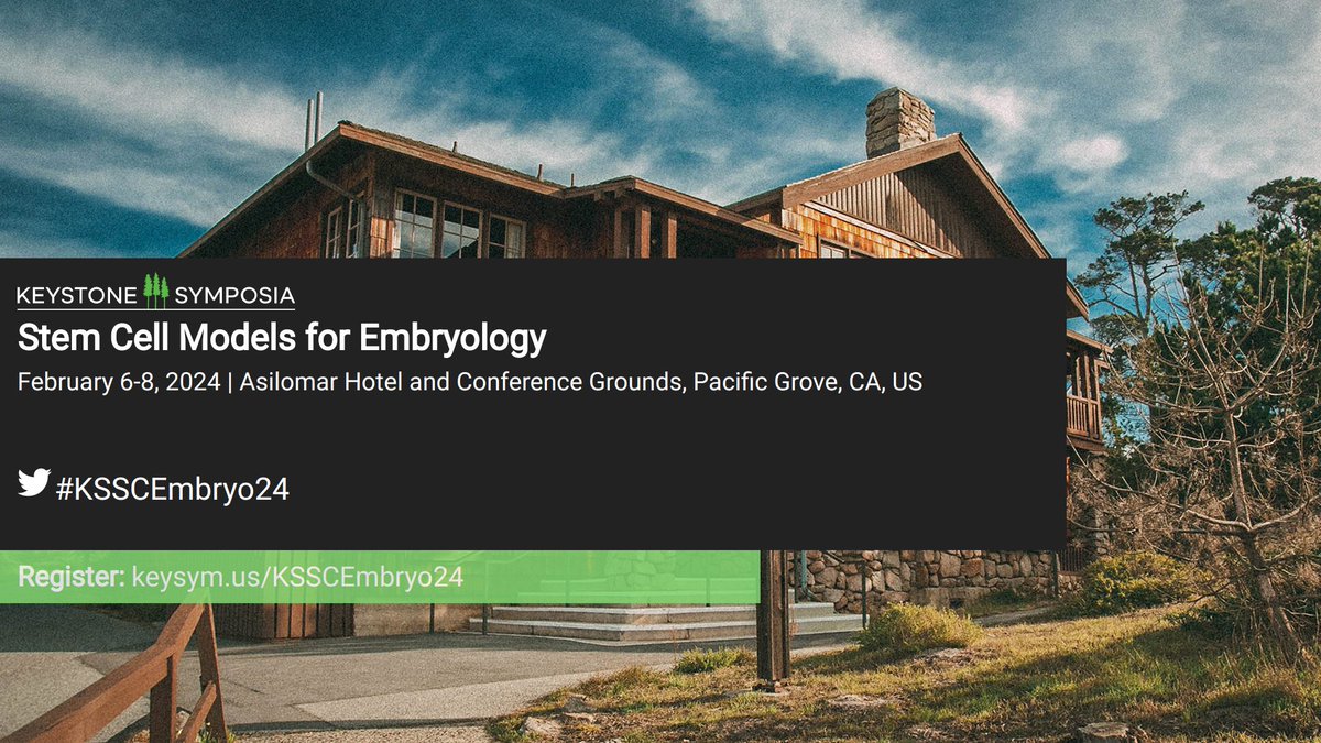 Co_Biologists's tweet photo. You can still register for On Demand Access to @KeystoneSymp #StemCell Models for #Embryology, which took place 6-8 February, to explore emerging #SyntheticBiology #Embryoids research.
https://t.co/WiXjWNWslS #KSSCEmbryo24 https://t.co/WHKBVmTw5W