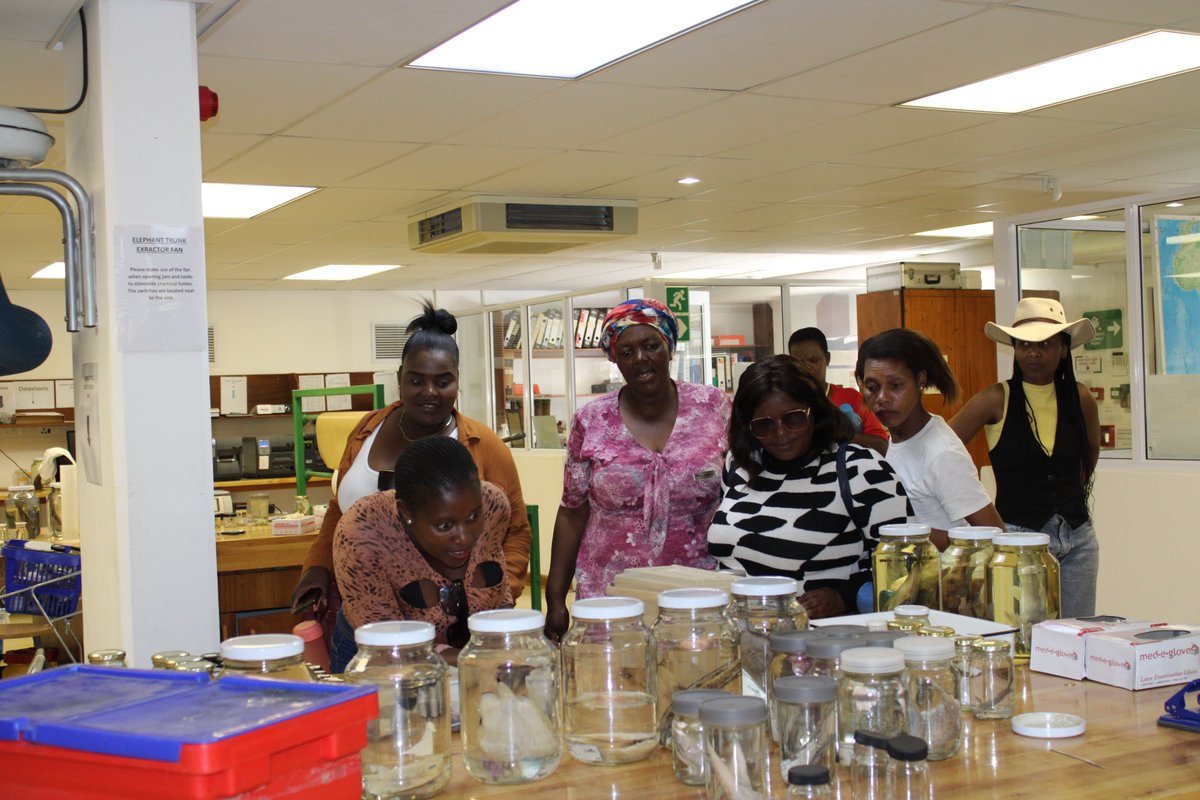 NRF_SAIAB's tweet photo. We had the pleasure of hosting the Keiskamma Trust ImisEE embroiders for a comprehensive tour of our Makhanda building, which included our esteemed National Collections Facility. https://t.co/mfiWHfZQN1