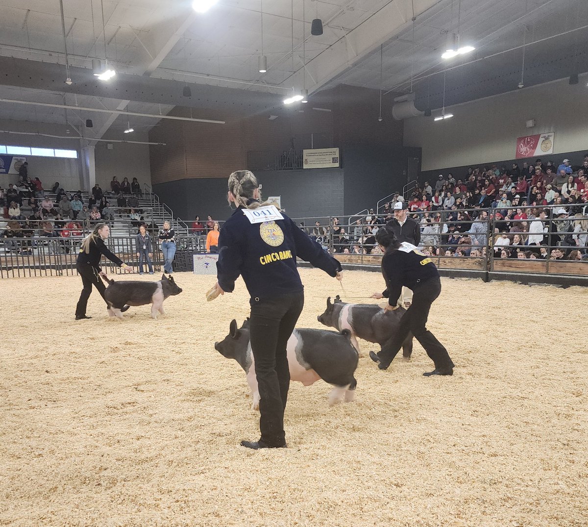 Hanging out with pigs today. WOO PIG. #TaylorPride247 #katyisd