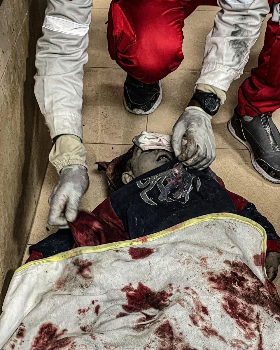 TIMES OF GAZA tweet media