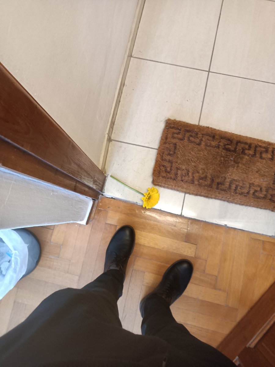 Μου στέλνει αυτό το πρόσωπο που βρήκε έξω από το γραφείο του.

Στο μεταξυ δε το άφησα εγώ 😅