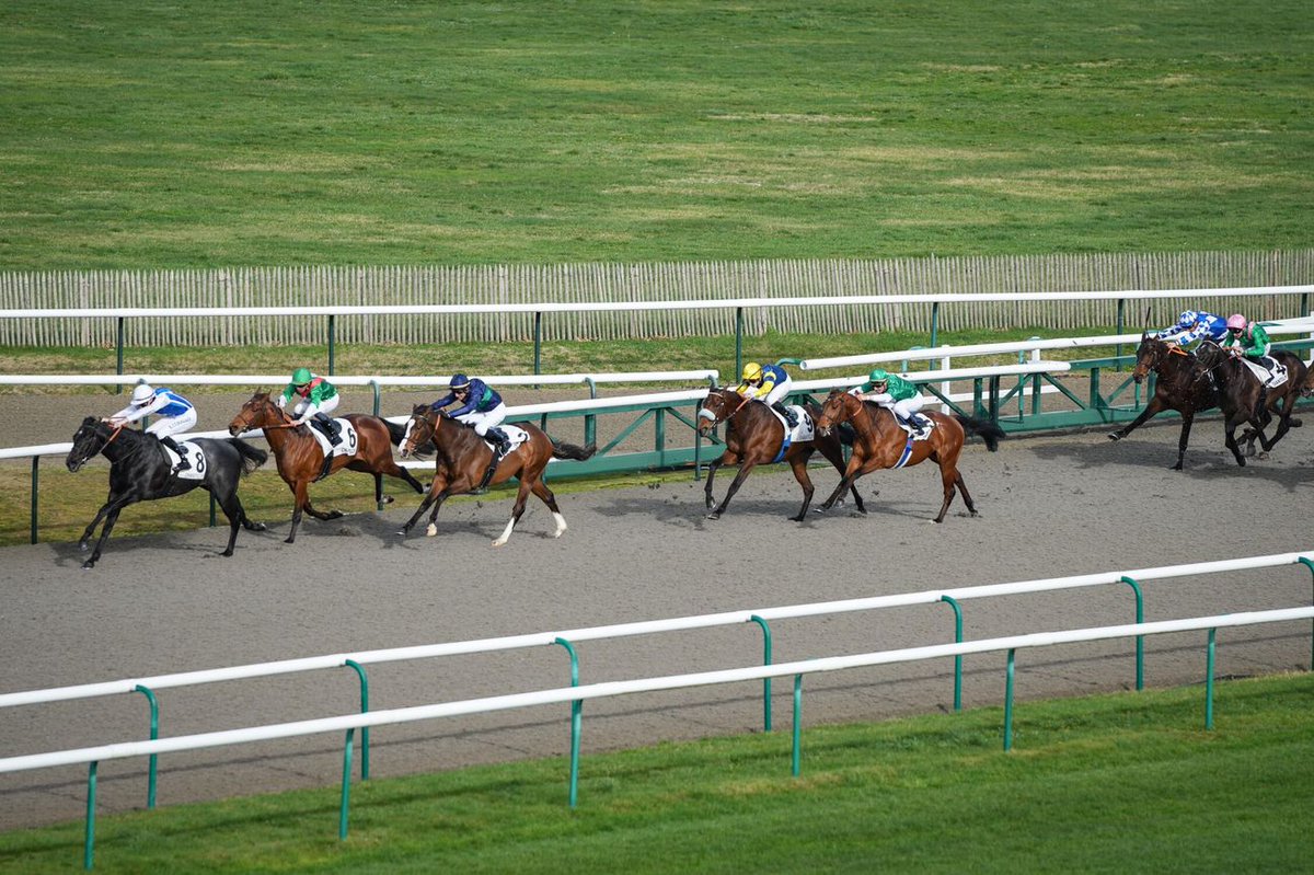 Grand poulain bien né, FANATIC (No Nay Never @coolmorestud) s'impose d'emblée dans le Prix de la Grange de Comelles (Inédits) à @fgchantilly ! Pensionnaire de la @teamchferland, c'est un protégé de l'écurie @WertheimerSales. 📸 @ScoopDyga