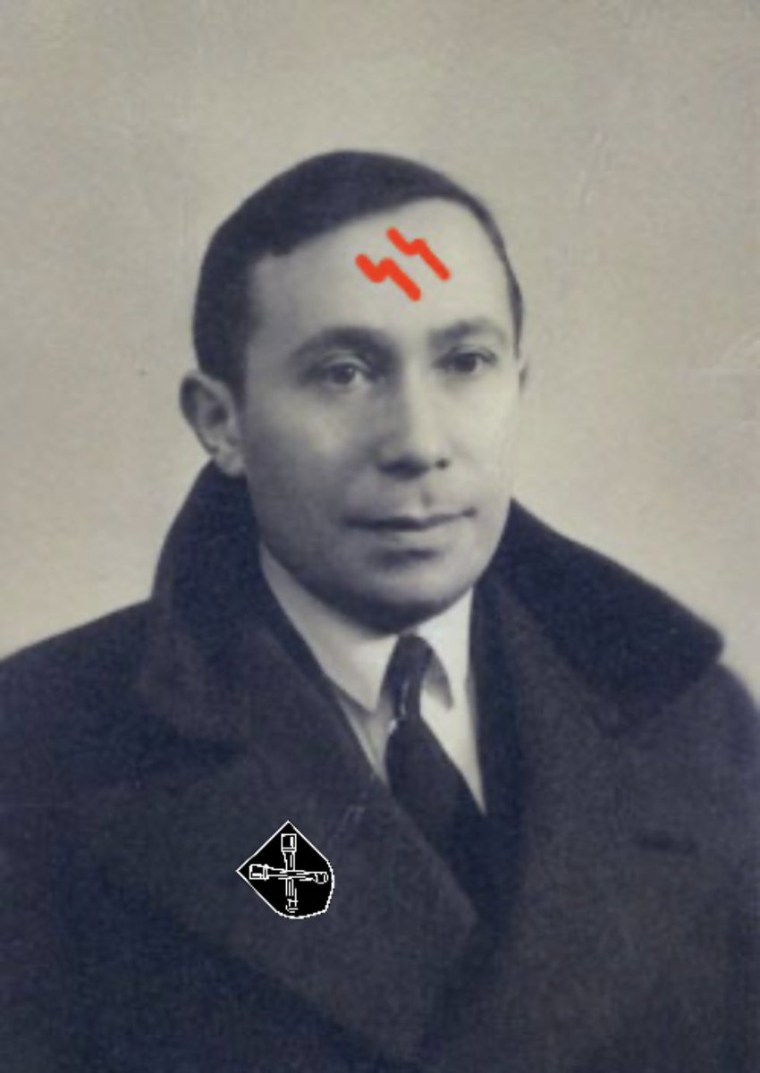 Mischlingpilot's tweet photo. Mischling twitter is coming https://t.co/Av9lp9TYSN