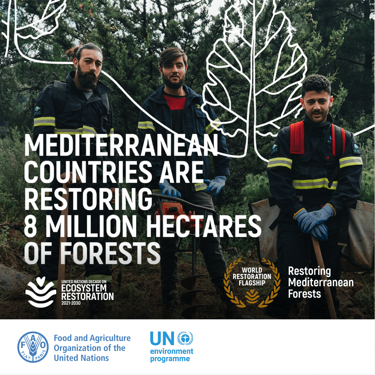 FAO's tweet photo. 🌲The Restoring Mediterranean Forests Initiative is one of the @UN World Restoration Flagships. 

The initiative aims to protect &amp; restore over 8 million hectares of forest in Lebanon, Morocco, Tunisia and Türkiye by 2030.

👉https://t.co/pVzPJPdWMm

#GenerationRestoration https://t.co/dHfT6VBIxq