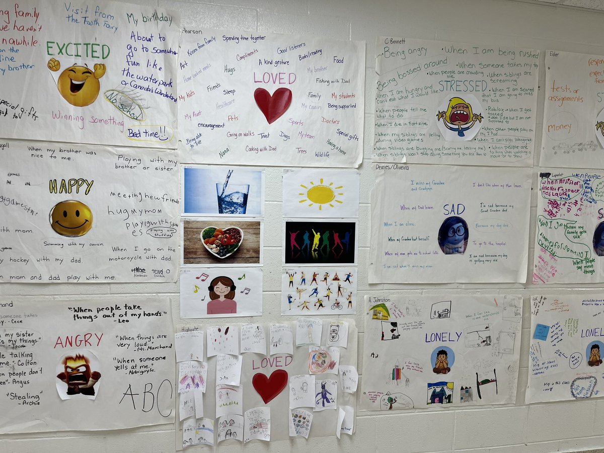 Emotions in words and pictures shared by every class in our school. No student need be alone with their own big emotions #tvdsb
