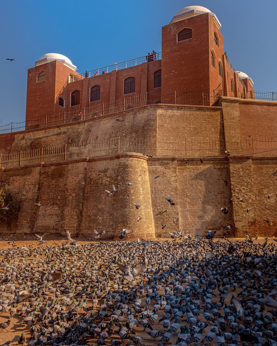 abbasiam77's tweet image. Majestic walls of Multan Fort!
From its origins between 800 and 1000 B.C. in the realm of Kangra tribe to its reconstruction by Ranghar chiefs, these walls have witnessed the passage of empires.
#historicalarchitecture #history #heritage #Multan #multanfort #fort #city