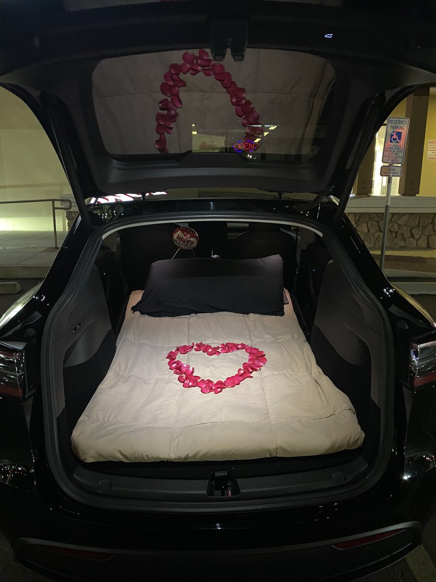 jasonvalasek's tweet photo. @elonmusk amazing Valentine’s Day thanks to you buddy!! The fireplace display and romance jams sealed the experience ❤️ https://t.co/lgumfgHD3D