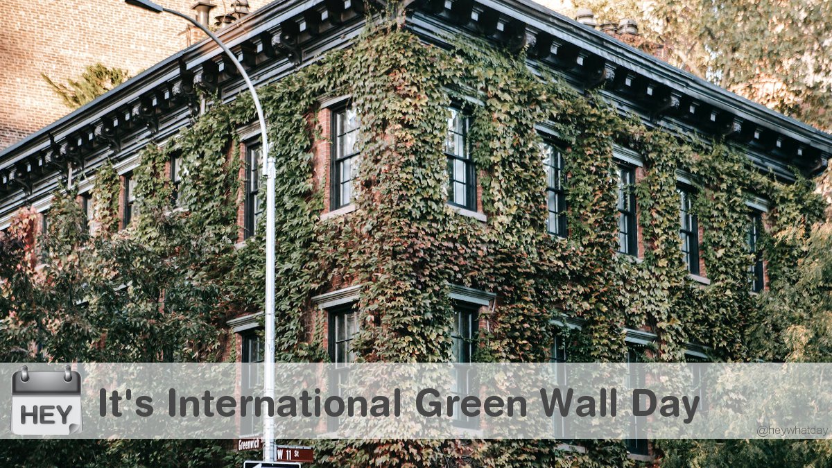 It's International Green Wall Day! 
#GreenWallDay #InternationalGreenWallDay #Sustainable