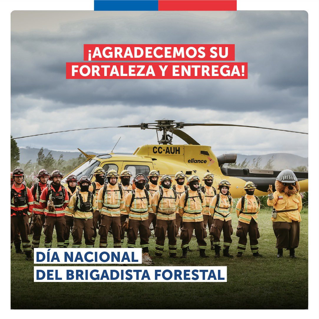 radioinsular's tweet photo. @incendios_CONAF #Chiloe #PuertoMontt #Osorno #Concepcion #Valpariso #vinadelmar https://t.co/6pGDpJNBMs
