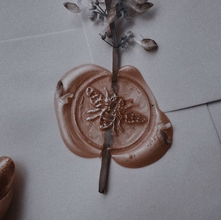 ㅤ
﹙⌕﹚𝗕 𝗨 𝗦 𝗤 𝗨 𝗘 𝗗 𝗔 ⦂
ㅤ
ㅤ❊ 𝐁𝐑𝐈𝐃𝐆𝐄𝐑𝐓𝐎𝐍 + 𝐀𝐔𝐒𝐓𝐄𝐍
ㅤㅤㅤㅤ𝙶𝚁𝚄𝙿𝙾  𝙵𝚁𝙴𝙴𝚁𝙾𝙻

ㅤ▢；Bridgerton﹢Queen Charlotte﹢Austen Books
ㅤ▢；Trama Multiera
ㅤㅤ↪Georgian / Regency Era
ㅤ▢；PJs Canon﹢OCs
ㅤ▢；Grupo #Freerol

ㅤㅤㅤㅤ𓂃𝘙𝘛﹢𝘔𝘎
ㅤ