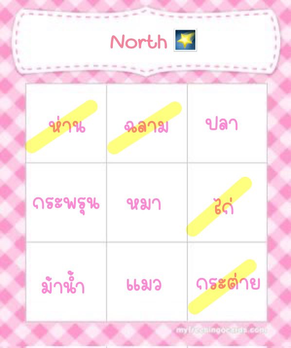 North 💫 tweet media