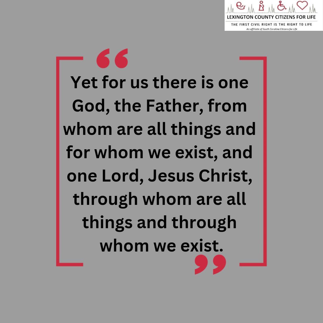 Not Helpful

1 Corinthians 8:6
Yet for us, there is one God, the Father, from whom are all things and for whom we exist, and one Lord, Jesus Christ, through whom are all things and through whom we exist.

#lexcc4life #sc4life #God #creator #Jesus #Christ #Lord