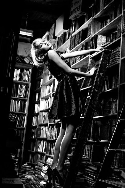 Stephanie Lisa Tara tweet media