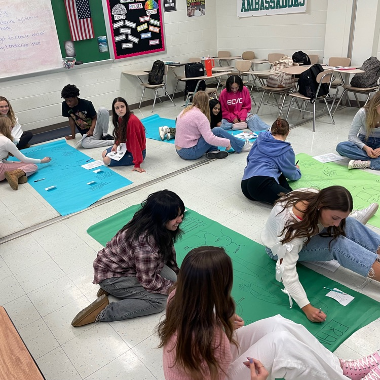 WeAreHickory's tweet photo. Ms. Finlay’s AP Psychology classes are wrapping up their “case study” people, applying new knowledge of the sympathetic nervous system, brain structures, neurotransmitters, and endocrine system with creative stories to match! #brainscience #appsych #flyfearlessly #hawkyeah https://t.co/9EzCHwNz7F