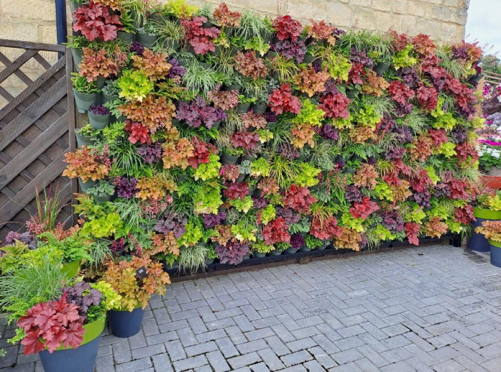 It’s Green Wall Day! 🏡🌿🟩

Why not celebrate but treating yourself to one of our fantastic Wonder Wall kits!🌱

Create your own stunning Wonder Wall display indoors or outdoors with all your favourite plants!!

Click the link in the bio to purchase ⬆️

#greenwallday #flowerwall