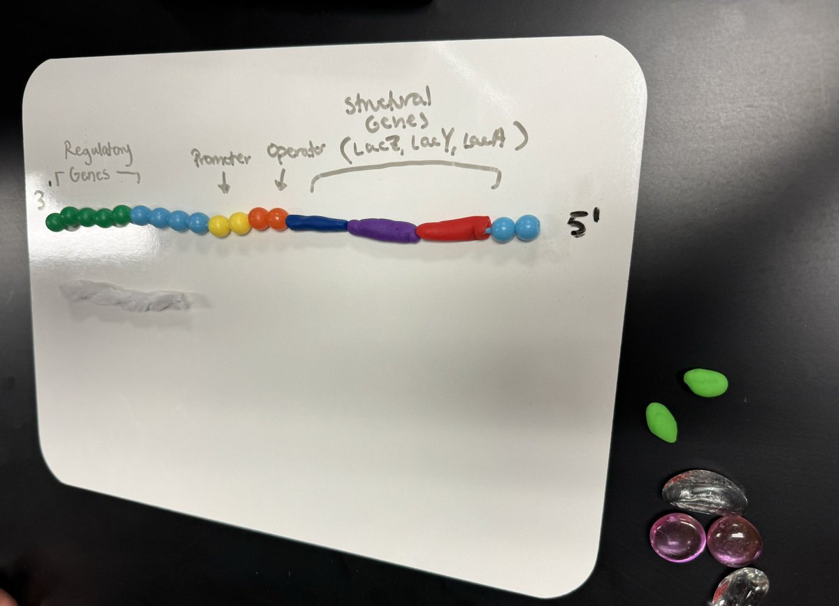 Sherri Wagner tweet media