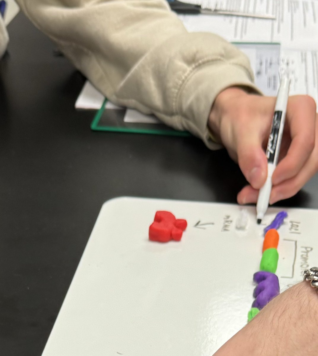 Sherri Wagner tweet media