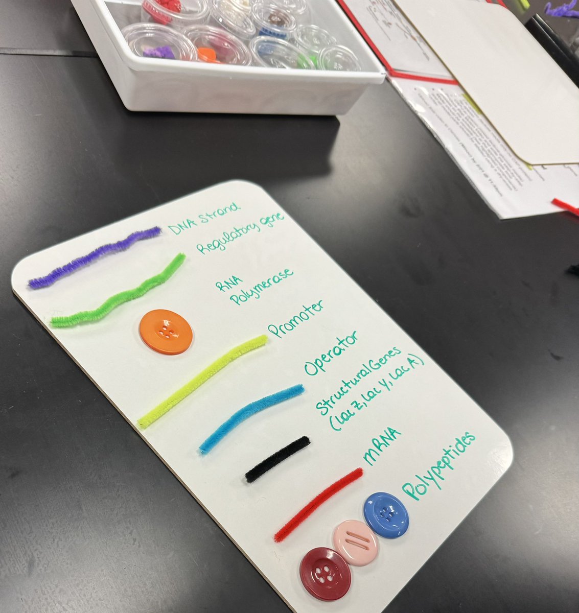 Sherri Wagner tweet media