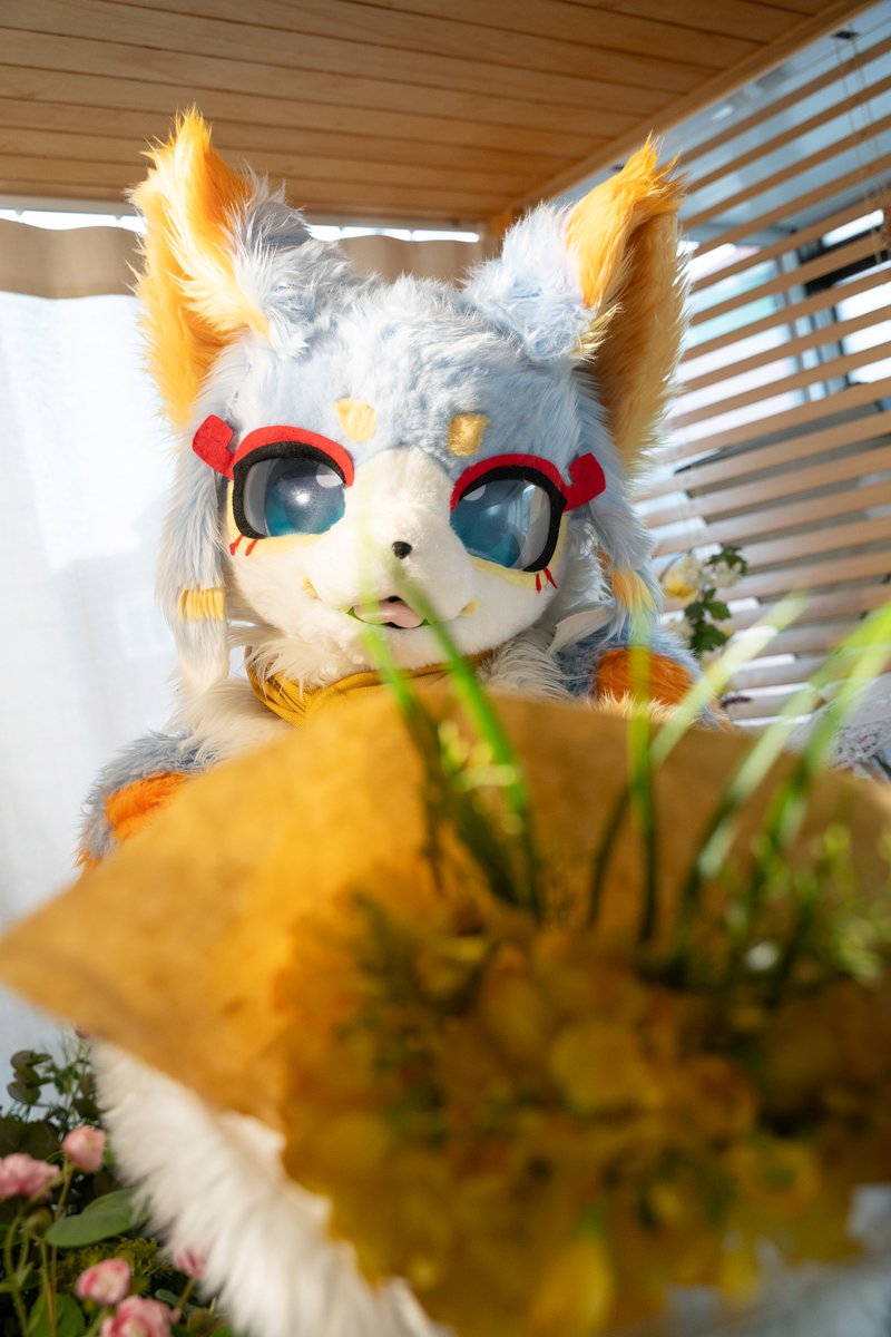 私と付き合ってくれる？😆

#Fursuit
#FursuitFriday