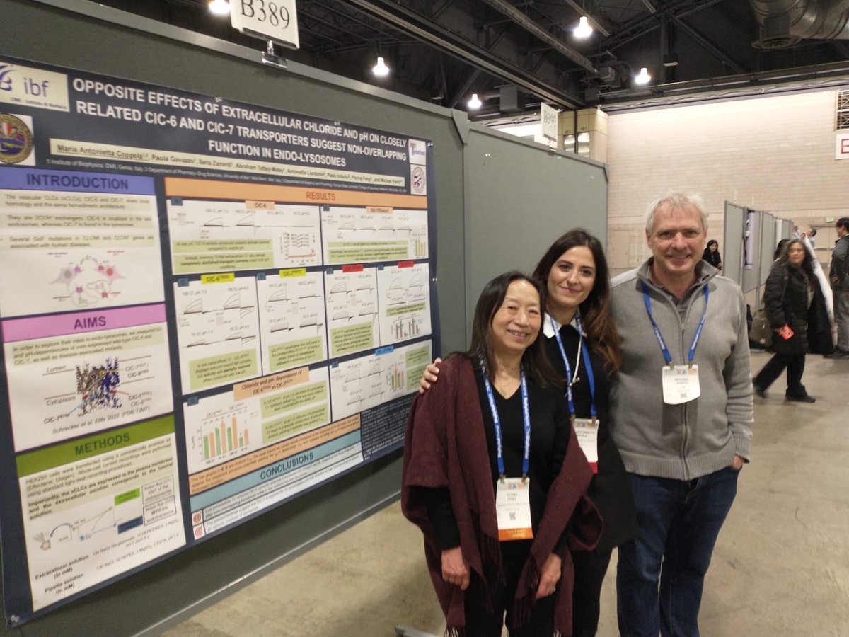 Dr. Peying Fong 方白嬰 tweet media