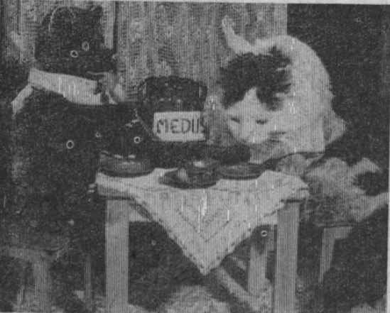 'Lācis Miķelis Baltpurniņš uzaicināja runci Muri Pupuziedu pie sevis ciemos.'
🐻🍯😻
/Zemgales Komunists, 23.03.1960