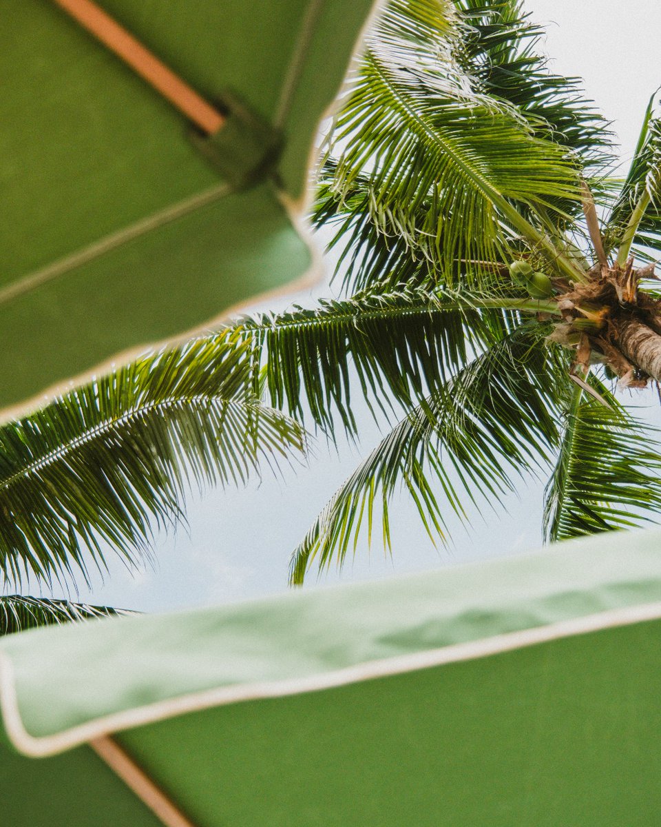 Four Seasons Hotel Miami tweet media