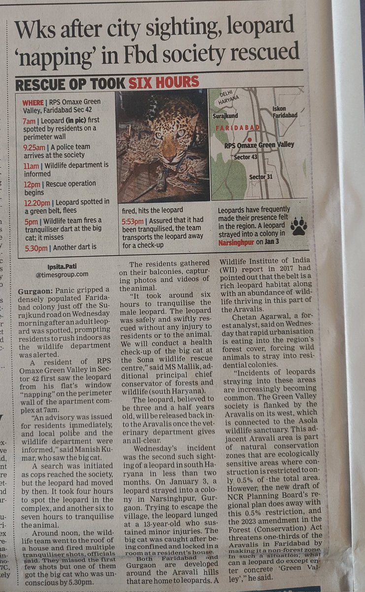 Weeks after Gurgaon sighting, #leopard 'napping' at Faridabad society rescued @pargaien @JungleWalaIFS @wii_india @FawpsIndia @SunilHarsana @WildlifeSOS @sumitdookia Read the full story here 👇 toi.in/y0He7b