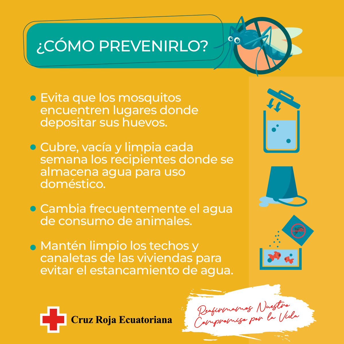 cruzrojaecuador's tweet photo. ¡Juntos podemos prevenir el #dengue! 🦗

Con acciones anticipadas se puede reducir la presencia del mosquito y las posibilidades de contagio. ❌

#TeQueremosSano #AccionesAnticipadas https://t.co/4R62PcrSdM