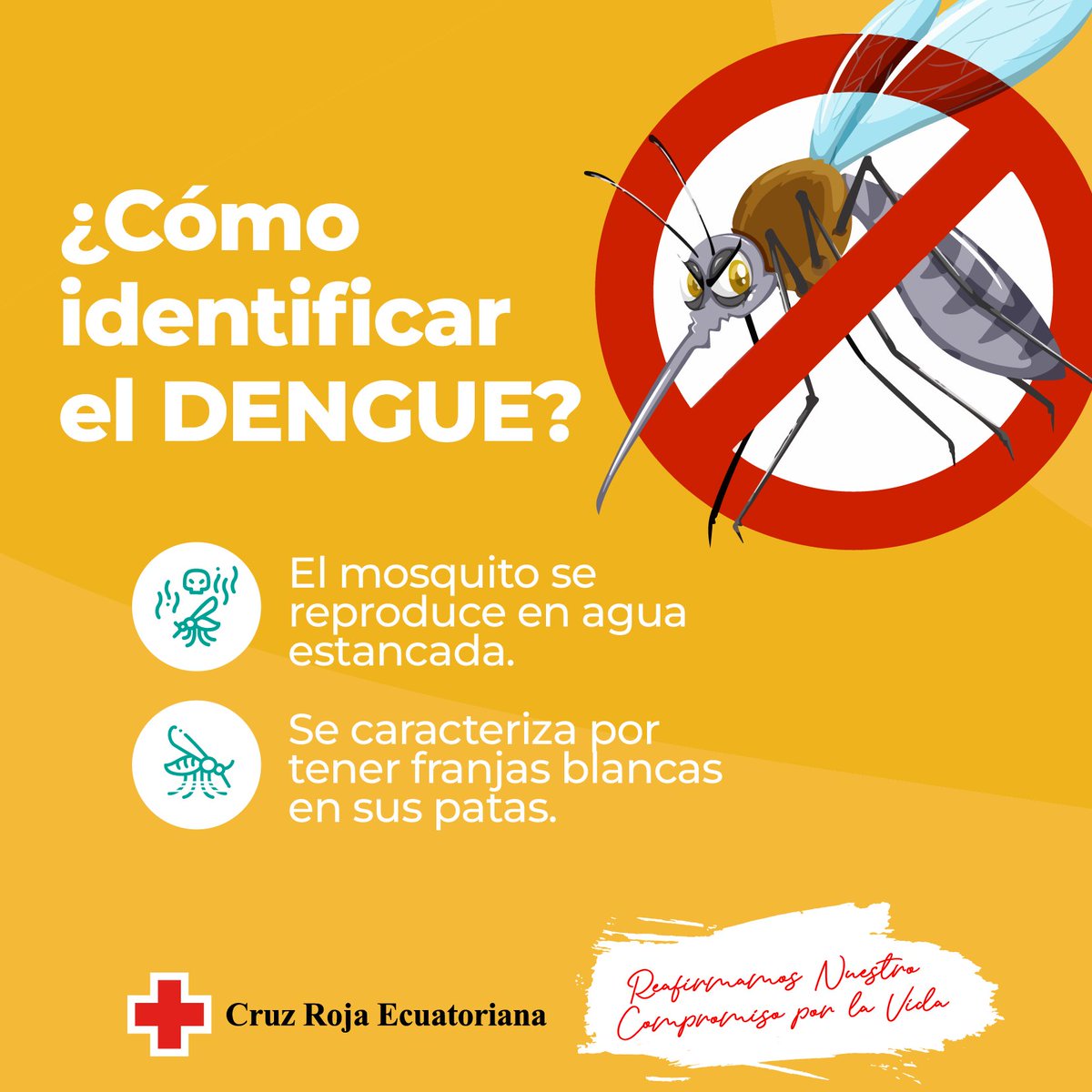 cruzrojaecuador's tweet photo. ¡Juntos podemos prevenir el #dengue! 🦗

Con acciones anticipadas se puede reducir la presencia del mosquito y las posibilidades de contagio. ❌

#TeQueremosSano #AccionesAnticipadas https://t.co/4R62PcrSdM